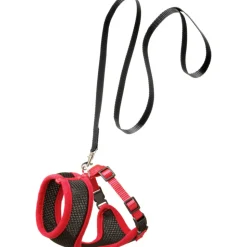 FLAMINGO - Harnais pour chatons, couleur noir et rouge, taille s, réglable