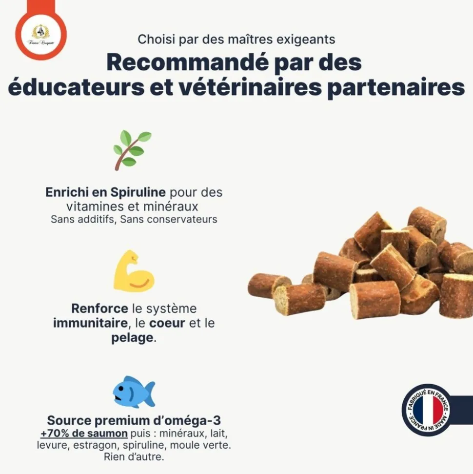 FRANCE CROQUETTES - Bouchées au saumon 500g - france croquettes