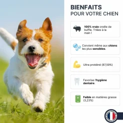 FRANCE CROQUETTES - Oreille de buffle 5kg - france croquettes