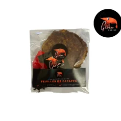 GIOIASHRIMP - Feuilles de catappa pour les crevettes d'aquarium x10