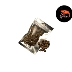 GIOIASHRIMP - Graines de moringa pour crevettes - x50