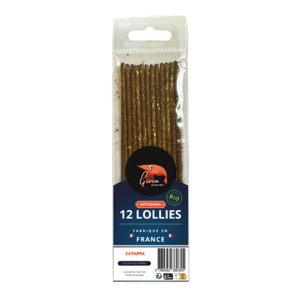GIOIASHRIMP - 12 lollies de catappa bio pour crevettes