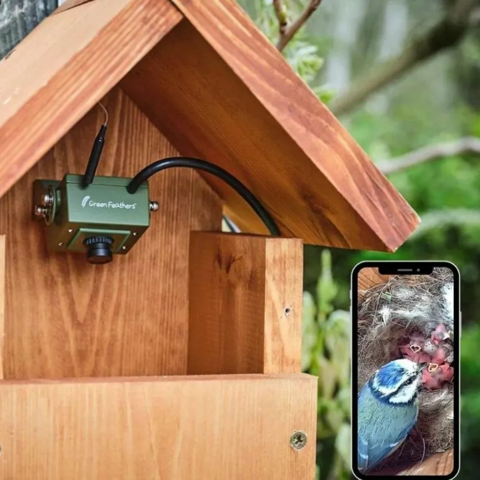 GREEN FEATHERS - Kit complet nichoir oiseaux avec caméra wifi