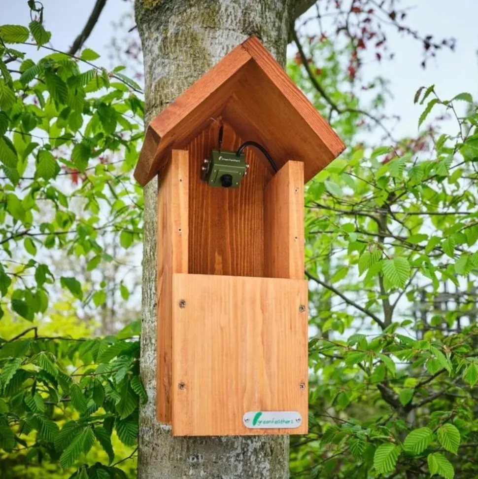 GREEN FEATHERS - Kit complet nichoir oiseaux avec caméra wifi