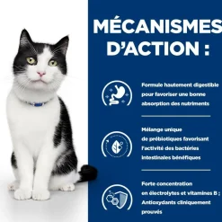 HILL'S - Croquettes chat adult prescription diets i/d digestive - hill's 8 kg