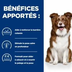 HILL'S - Croquettes chien adult prescription diets derm defense - hill's 4 kg