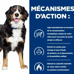 HILL'S - Croquettes chien adult prescription diets j/d metabolic + mobility - hill's 4 kg