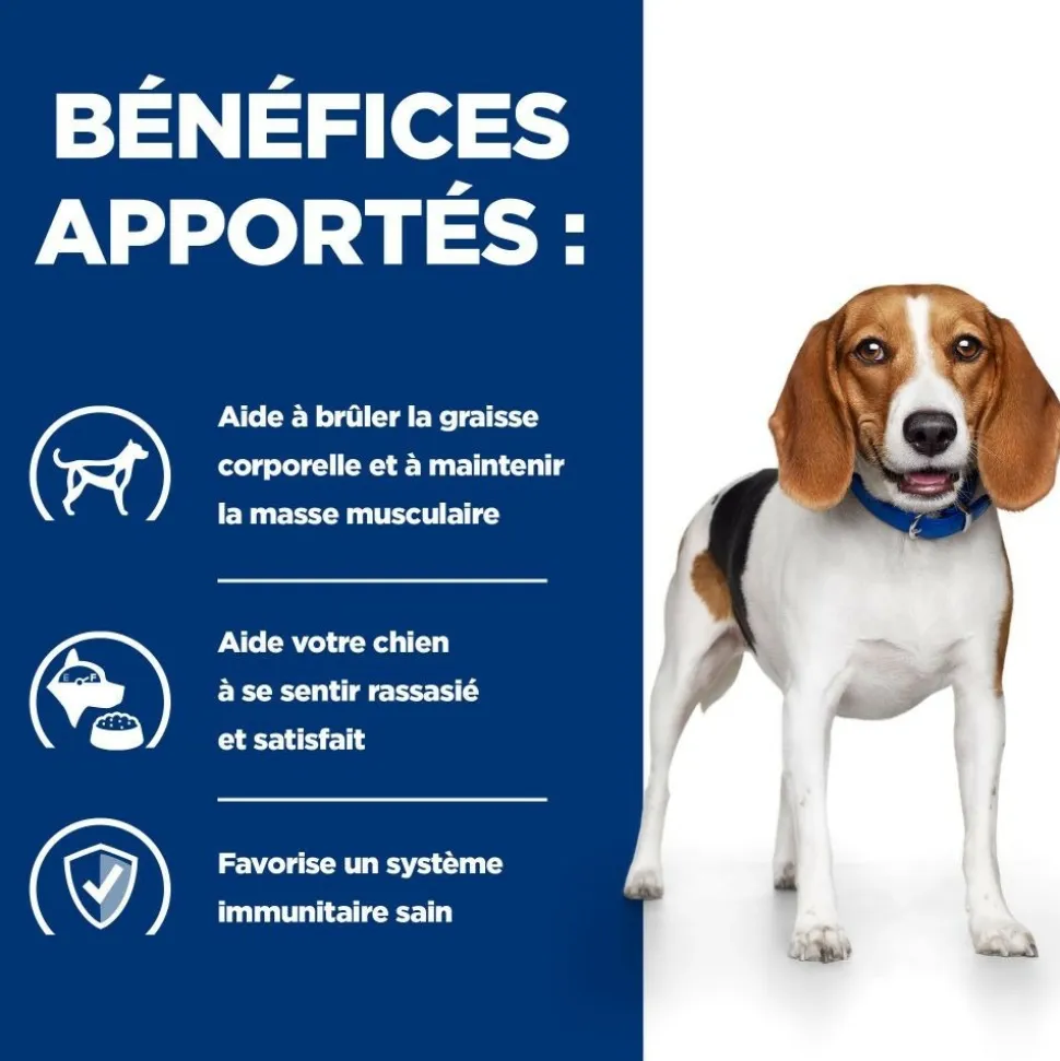 HILL'S - Croquettes chien adult prescription diets r/d weight loss - hill's 10 kg