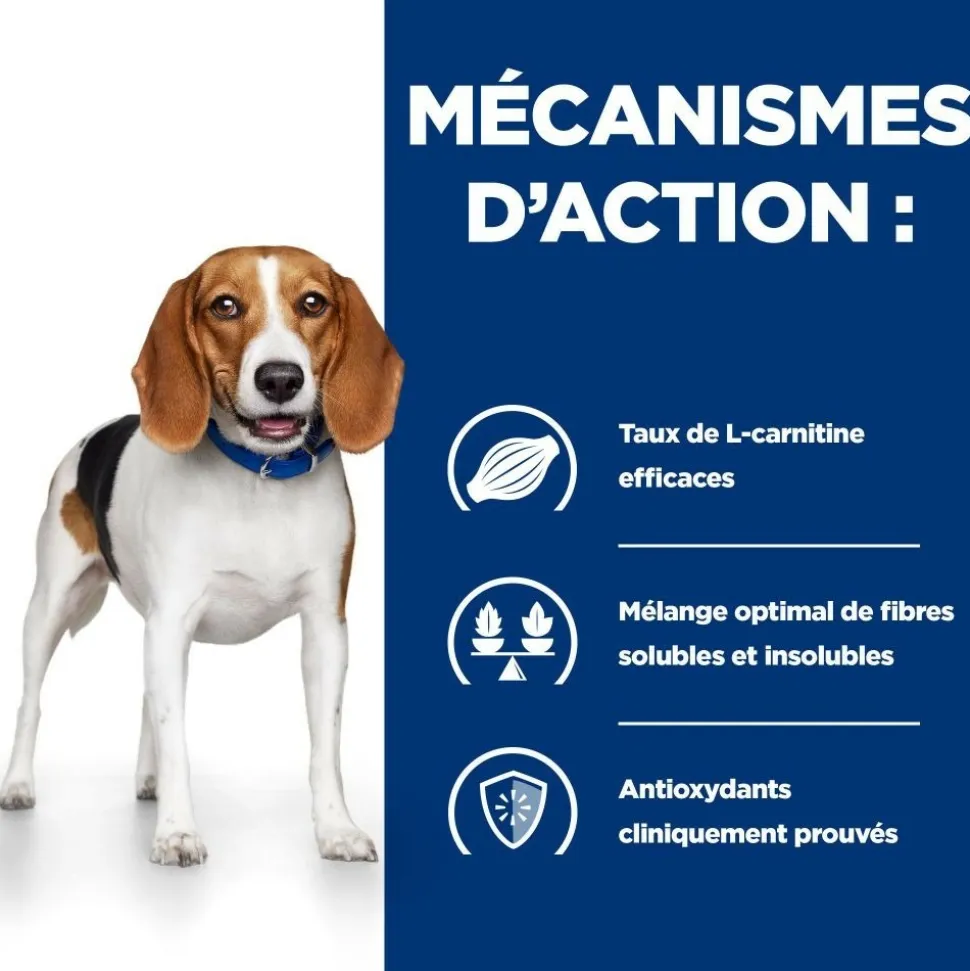 HILL'S - Croquettes chien adult prescription diets r/d weight loss - hill's 10 kg