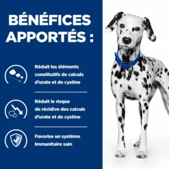 HILL'S - Croquettes chien adult prescription diets u/d urinary care - hill's 10kg