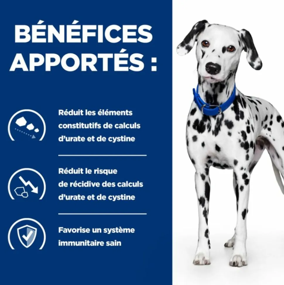 HILL'S - Croquettes chien adult prescription diets u/d urinary care - hill's 10kg