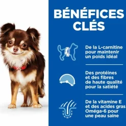 HILL'S - Croquettes chien science plan adulte light small & mini poulet - hill's 6 kg