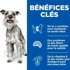 HILL'S - Croquettes chien science plan adult mature 7+ mini light - hill's 2,5 kg