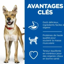 HILL'S - Croquettes chien science plan adult performance - hill's 14 kg