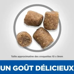 HILL'S - Croquettes chien science plan adult performance - hill's 14 kg