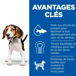 HILL'S - Croquettes chien science plan puppy medium poulet - hill's 14 kg