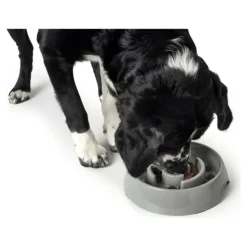HUNTER - Mangeoire pour chiens mélamine 900 ml