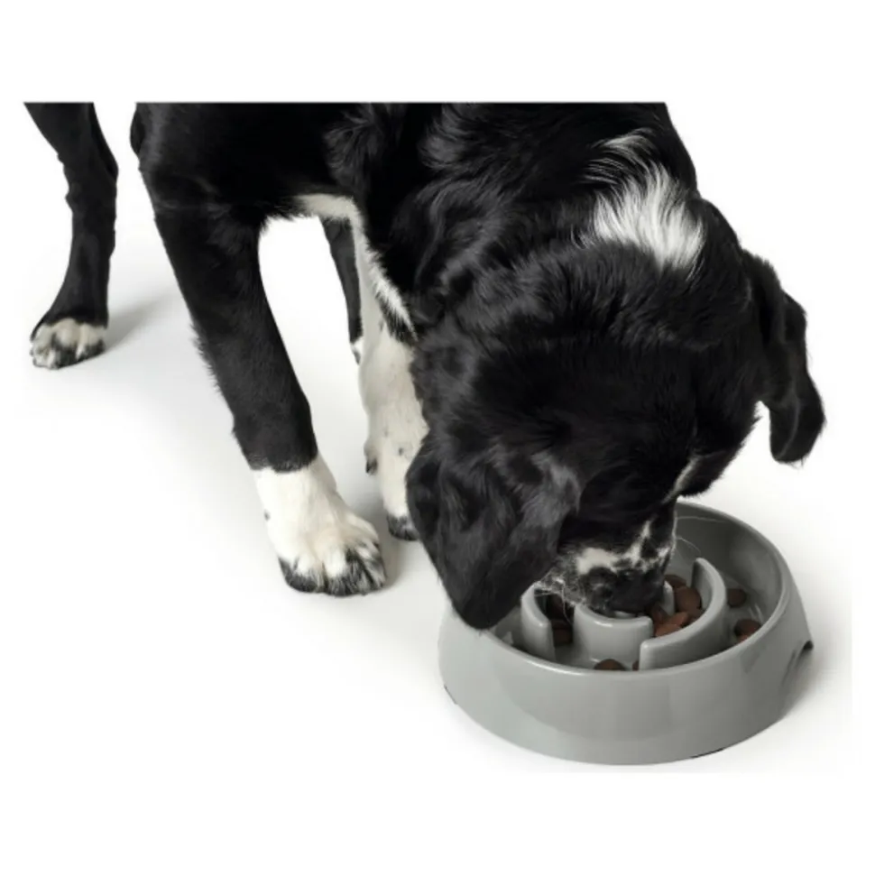 HUNTER - Mangeoire pour chiens mélamine 550 ml
