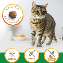 IAMS - Croquettes chat boule de poils - iams for vitality 10 kg