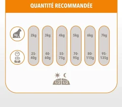 IAMS - Croquettes chat boule de poils - iams for vitality 10 kg