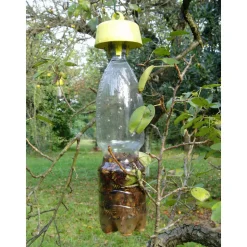 ICKO APICULTURE - Piège anti-nuisible Tap trap® : par 5