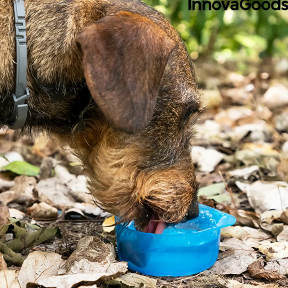 INNOVAGOODS - Bouteille avec distributeur d'eau et d'aliments pour animaux 2 en 1 pettap