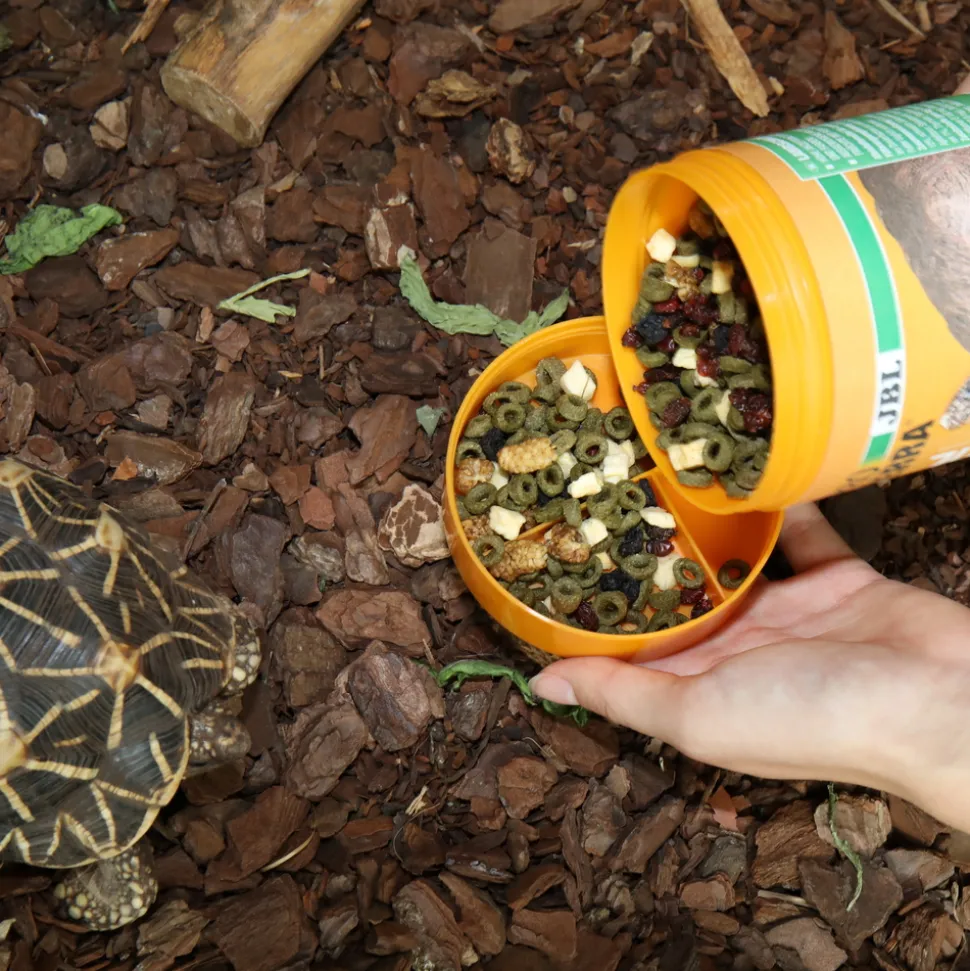 JBL - Fructil, alimentation pour tortues terrestres : 250ml