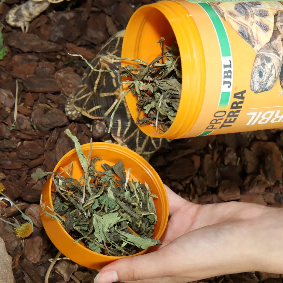 JBL - Herbil, alimentation pour tortues terrestres : 250ml