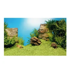 JUWEL - Juwel Poster S : 60 x 30 cm