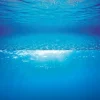 JUWEL - Poster de fond d'aquarium 2 s : 60x30 cm