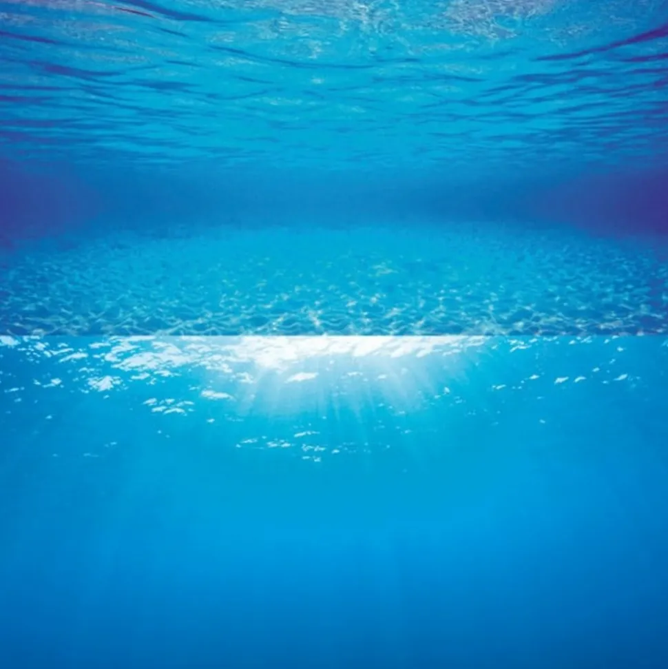 JUWEL - Poster de fond d'aquarium 2 s : 60x30 cm