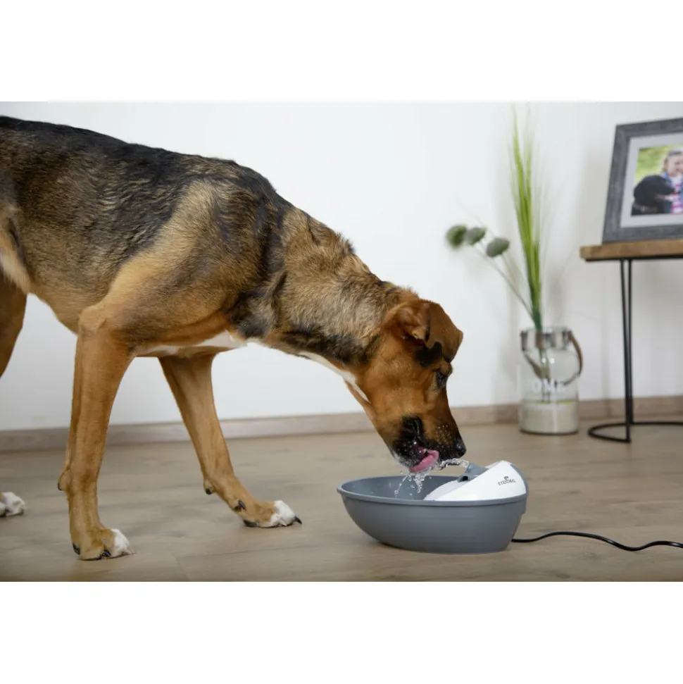 KERBL - Fontaine eyenimal classic pet 1,75 l pour petit chien et chat