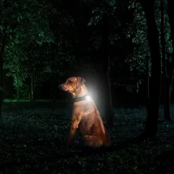 KIPPY - GPS et moniteur d'activité Kippy Evo Brown Wood pour chien & chat