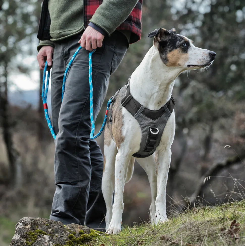KURGO - Harnais pour chien Journey Air noir taille M