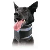 KVP - Collier cervical pour chiens noir (15-53 cm)