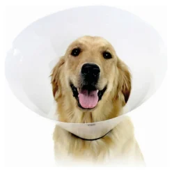KVP - Collier de protection isabelino pour chiens check transparent (22-27 cm)