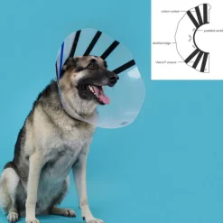 KVP - Collier de protection isabelino pour chiens ez clear (25-32 cm)