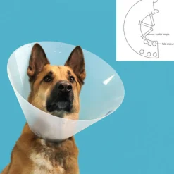 KVP - Collier de protection isabelino pour chiens quick fit transparent (33-41 cm)