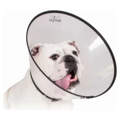 KVP - Collier de protection isabelino pour chiens saf-t-clear transparent (15-23 cm)