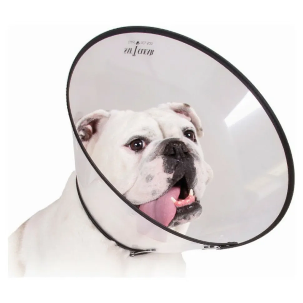 KVP - Collier de protection isabelino pour chiens saf-t-clear transparent (15-23 cm)