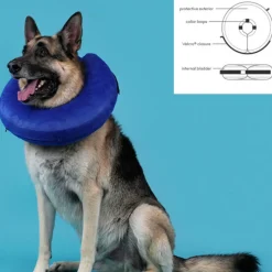 KVP - Collier de récupération pour chiens kong cloud bleu gonflable