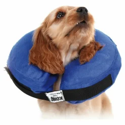 KVP - Collier de récupération pour chiens kvp kong cloud bleu gonflable (15-25 cm)