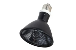 LA FERME TROPICALE - Lampe à résistance chauffante - deep heat splash proof - 80w - ampoule / chauffage pour reptiles (lézards, serpents), amphibien