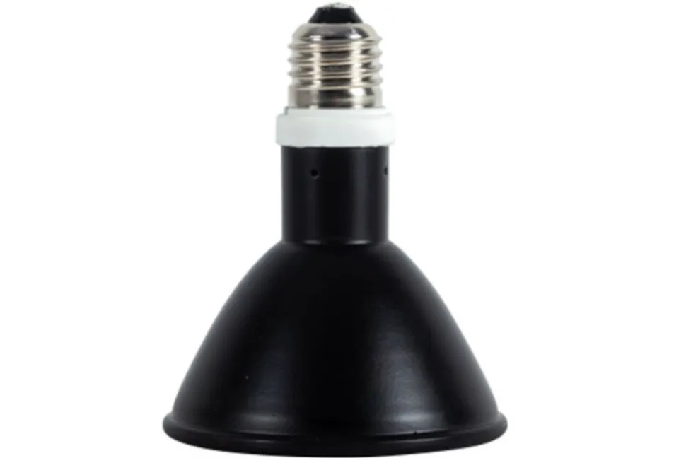 LA FERME TROPICALE - Lampe à résistance chauffante - deep heat splash proof - 80w - ampoule / chauffage pour reptiles (lézards, serpents), amphibien