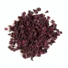 L'EDEN DES PATTOUNES - Betterave - 150 g