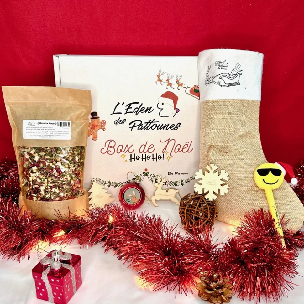 L'EDEN DES PATTOUNES - Box premium noël (edition limitée)