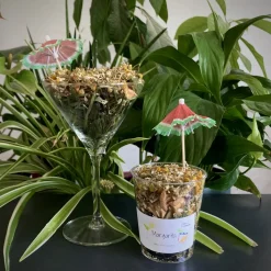 L'EDEN DES PATTOUNES - Cocktail - Margarita