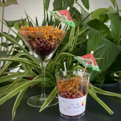 L'EDEN DES PATTOUNES - Cocktail - Sex on the beach