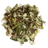L'EDEN DES PATTOUNES - Feuilles de mûrier - 50 g