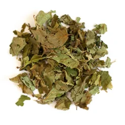 L'EDEN DES PATTOUNES - Feuilles de noisetier - 150 g